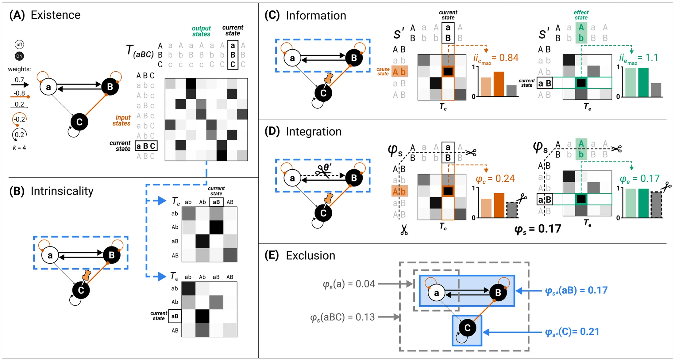 IIT phi structure diagram